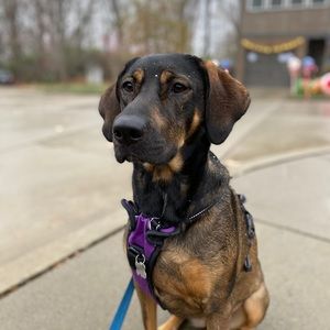 Meet your Posher, Mark